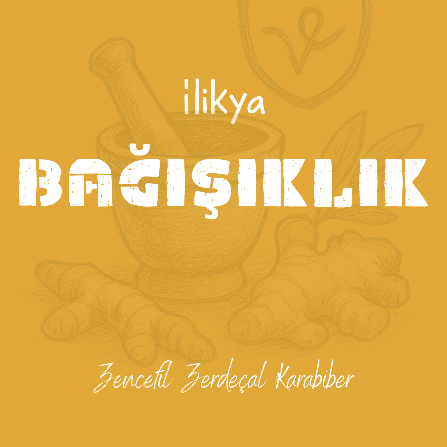 Bağışıklık Destek Serisi